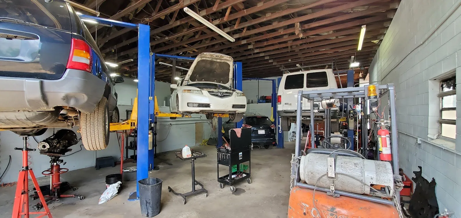 Wide view of the Transpecialists service bays with several vehicles raised on lifts.